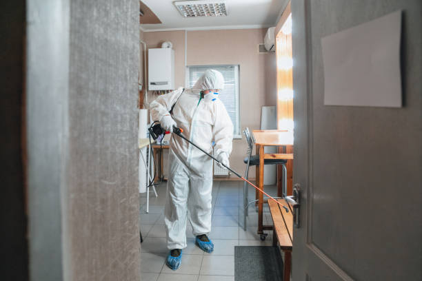Best Emergency Mold Remediation  in Vero Beach South, FL