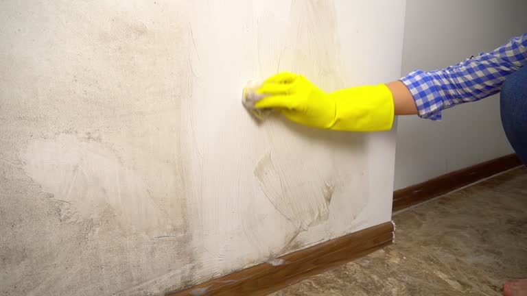 Best Environmental Consulting for Mold Prevention  in Vero Beach South, FL