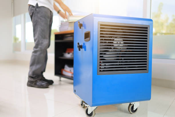 Biohazard Mold Removal in Vero Beach South, FL