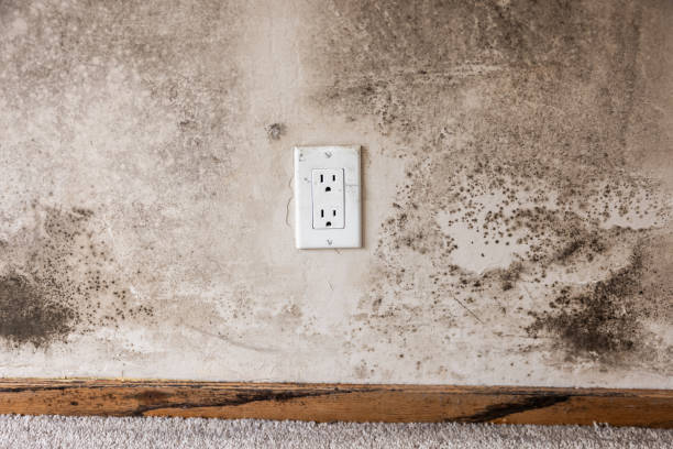 Best Indoor Air Quality Assessment  in Vero Beach South, FL